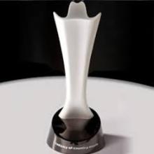 Award Academy of Country Music Awards