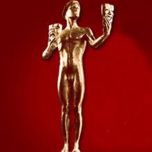 Award Screen Actors Guild Award
