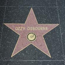 Award Star at the Hollywood Walk of Fame i