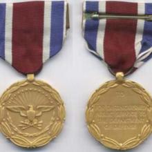 Award Distinguished Public Service Medal