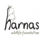 Harnas Wildlife Foundation
