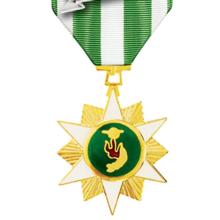 Award Republic of Vietnam Campaign Medal with 1960- device