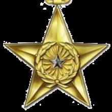 Award Silver Star
