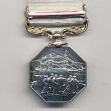 Award Polar Medal