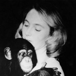 Photo from profile of Jane Goodall