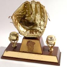 Award National League Gold Glove Award
