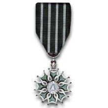 Award Chevalier de l'Ordre des Arts et des Lettres