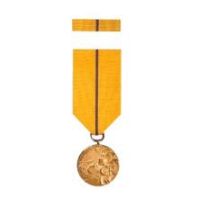 Award Czech Republic's Medal of Merit