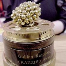 Award Razzie Award (2010)