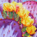 Achievement  of Cheryl Weinfurtner
