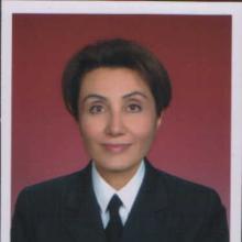 Hulya Turkan's Profile Photo