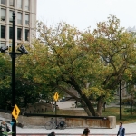 Photo from profile of Ron Burnett