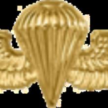 Award Navy and Marine Corps Parachutist Insignia