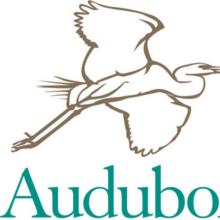 Award Audubon medal