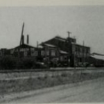 Photo from profile of Sidney Fox