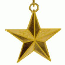 Award Gold Star medal of Hero of the Republic of Cuba