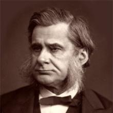 Thomas Huxley's Profile Photo