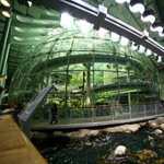 Photo from profile of Sylvia Earle