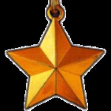 Award The Gold Star Medal