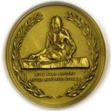 Award Gandhi Peace Award