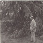 Photo from profile of Luther Burbank
