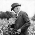 Photo from profile of Luther Burbank