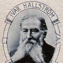 Ivar Hallstrom's Profile Photo