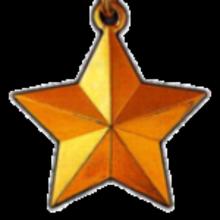 Award Gold Star medal
