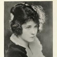 Anne Cornwall's Profile Photo