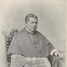 Franz Doppelbauer's Profile Photo