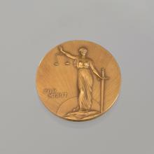 Award Springarn Medal