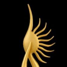 Award International Indian Film Academy Awards