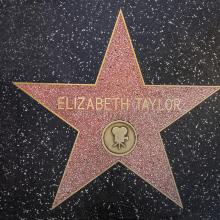 Award Elizabeth Taylor's star on the Hollywood Walk of Fame