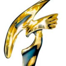 Award Annual Cable Excellence (ACE) Award, CINE Golden Eagle