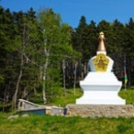 Photo from profile of Pema Chödrön