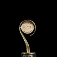 Award Aice Awards