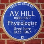 Achievement  of Archibald Vivian Hill