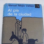 Photo from profile of Manuel Vallejo