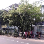 Photo from profile of Riya Dev Varma