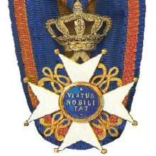 Award Knight Grand Cross of the Order of the Netherlands Lion (March 16, 1891)