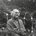 Photo from profile of Morris Graves