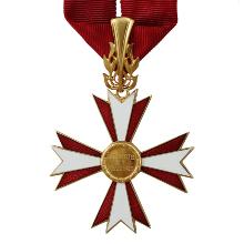Award Austrian Decoration for Science and Art, 1st class