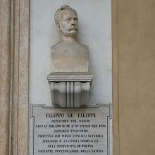 Filippo Filippi's Profile Photo