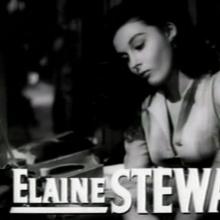 Elaine Stewart's Profile Photo