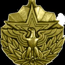 Award Meritorious Service Medal