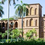 Photo from profile of Ibrahim El-Salahi