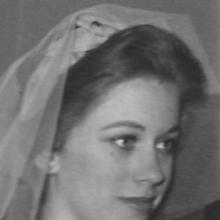 Connie Booth's Profile Photo
