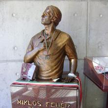 Miklos Feher's Profile Photo