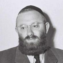 Yehuda Abramovitz's Profile Photo