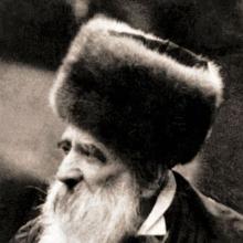 Yissachar Dov Rokeach's Profile Photo